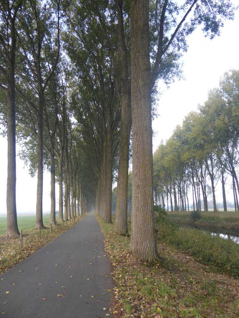 We cycled along a lot of canals on our last day in Belgium