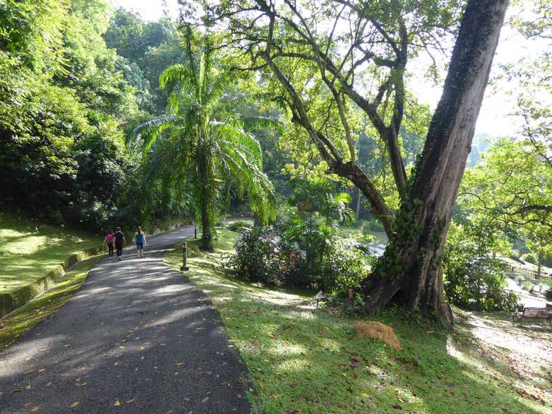 Penang botanic gardens